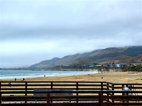 AVILA BEACH WHALE WATCHING - All You Need to Know BEFORE You Go