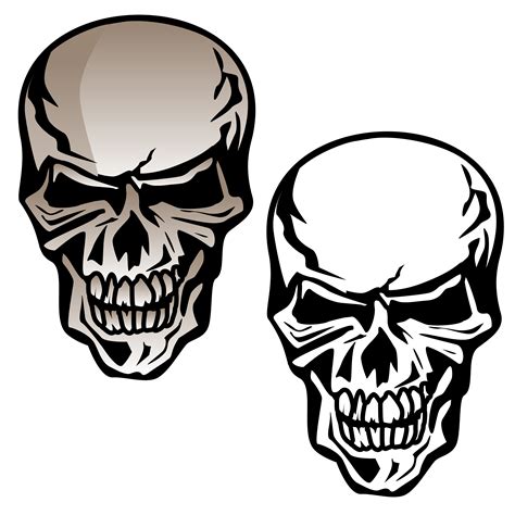 Human Skull Isolated Vector Illustration 345306 Vector Art at Vecteezy