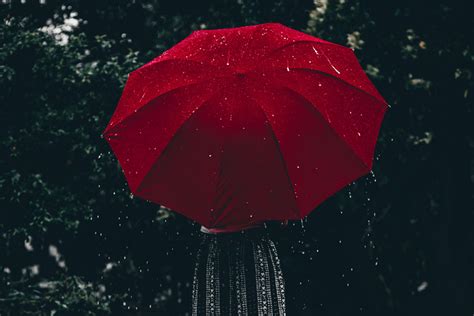 Guide to Rain Photography (+8 CREATIVE ideas!)