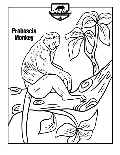 Proboscis Monkey - C.S.W.D