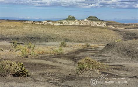 Bisti Wilderness - Tower Photography