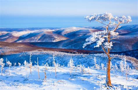 大兴安岭雪景图片,大兴安岭冬天的雪景,漠河雪景图片_大山谷图库