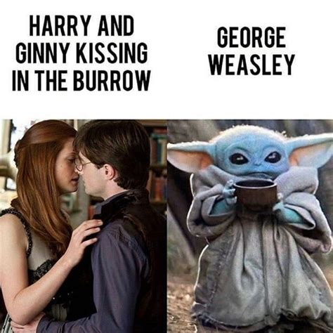 Harry Potter Memes | Fun