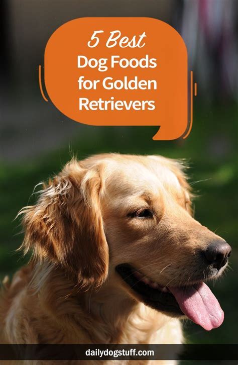 5 Best Dog Foods for Golden Retrievers via @dailydogstuff # ...