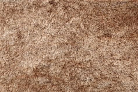 Animal fur texture- rabbit stock image. Image of skin, fauna - 371483