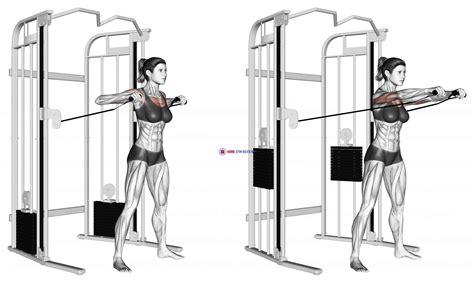 Cable Standing Chest Press - Home Gym Review