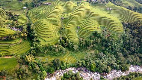 Banaue Rice Terraces: World Wonder At Risk Of Collapse As As Locals ...