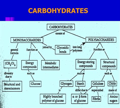 Complex Carbohydrates Diagram