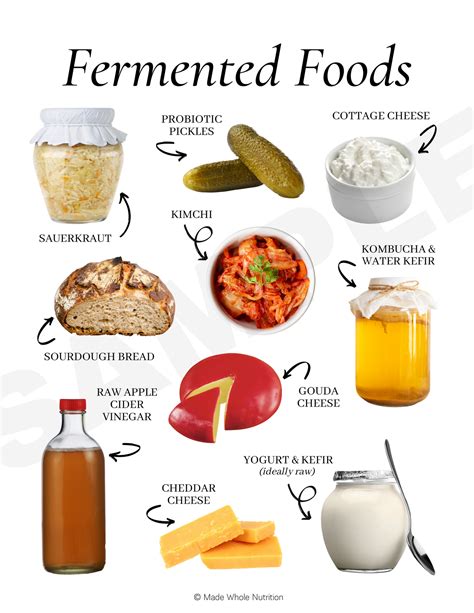 Fermented Foods Handout — Functional Health Research + Resources — Made ...