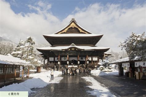 (Winter Only) 1-Day Tour From Nozawa Onsen: Snow Monkeys, Zenkoji ...