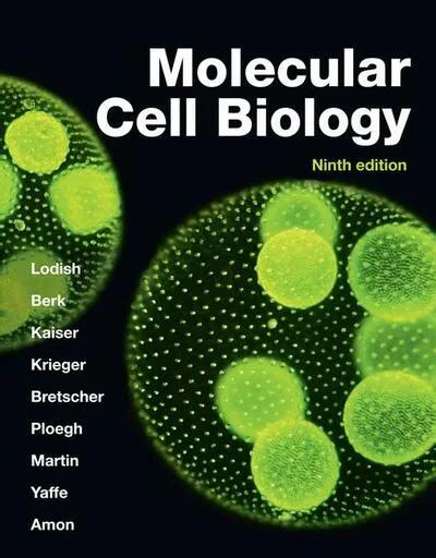 Molecular Cell Biology (IE)