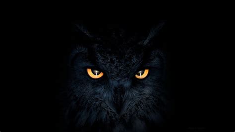 HD wallpaper: owl, artist, artwork, digital art, eyes, hd, deviantart ...