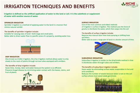 Various Types of Irrigation Techniques Used in India - Niche Agriculture