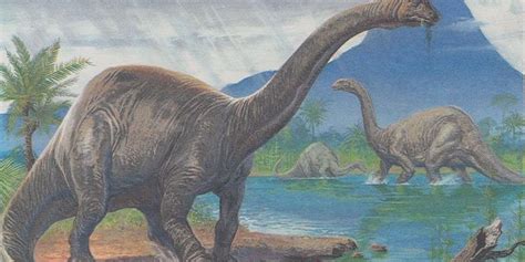 8 Interesting Facts About Brontosaurus - OhFact!