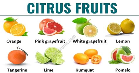 Citrus Fruits! In this lesson, you will learn a list of citrus fruits ...