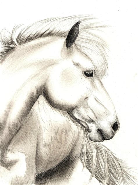 Realistic Horse Sketch by jennypip on DeviantArt