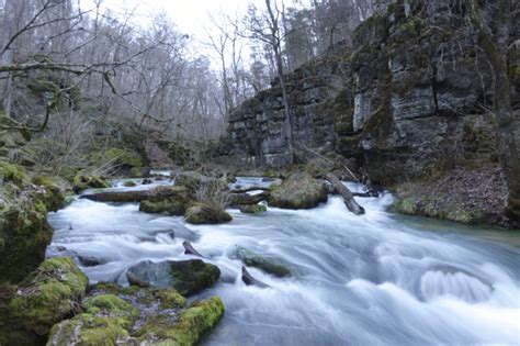 A Trip to See Greer Spring - The Accidental Ozarkian