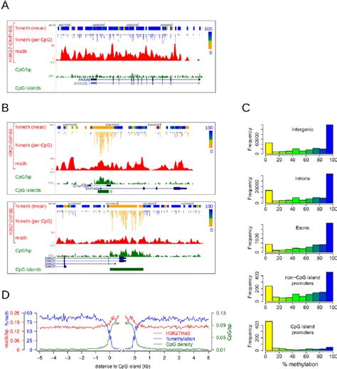 H3K27me3-enriched CpG island promoters are devoid of DNA methylation ...