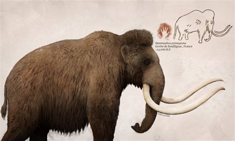 Woolly Mammoth based on a cave painting from the Rouffignac Cave in ...