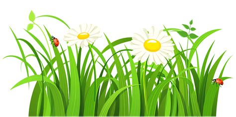 Free Grass Clip Art Pictures - Clipartix