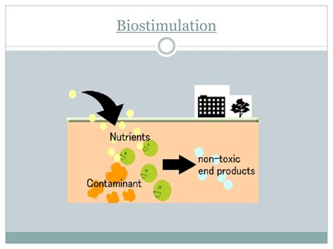 Biostimulation Definition