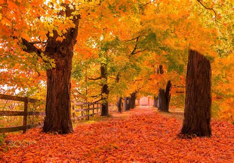 Autumn Windows XP Wallpapers - Wallpaper Cave