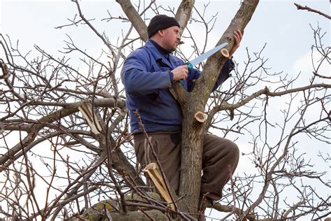 professional-tree-cutting-man - Total Tree Care Professionals