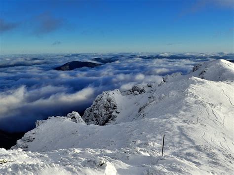 Mt Bogong Snowshoe Tour, Tour, High Country, Victoria, Australia