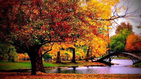 Colorful Autumn Trees Pond Desktop Bridge Above Water HD Autumn Desktop ...