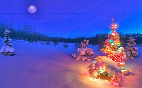 Snowy Christmas Night Wallpapers - Top Free Snowy Christmas Night ...