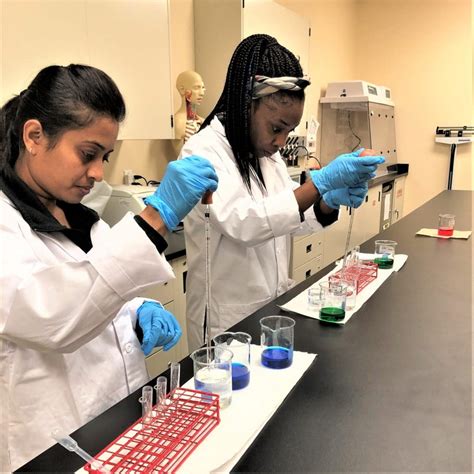 How A Medical Laboratory Technician Diploma Can Boost Your Career