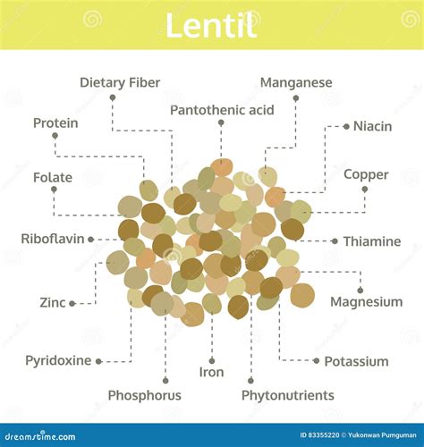 Lentil Cartoons, Illustrations & Vector Stock Images - 2637 Pictures to ...