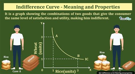 Indifference Curve: Understanding Preferences and Optimal Decision-Making