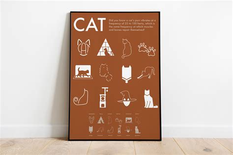 Cat Symbols on Behance