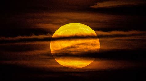 July Full Moon 2023: How Will This Phenomenon Affect The 12 Zodiacs?