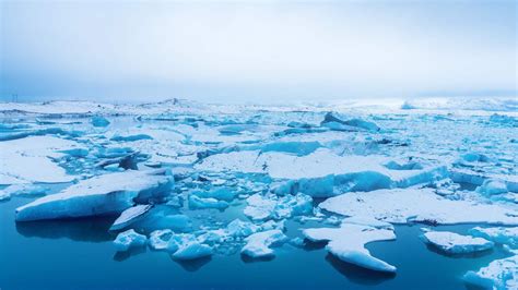 Science-Driven Treaty Could Prevent Harm to Central Arctic Ocean | The ...