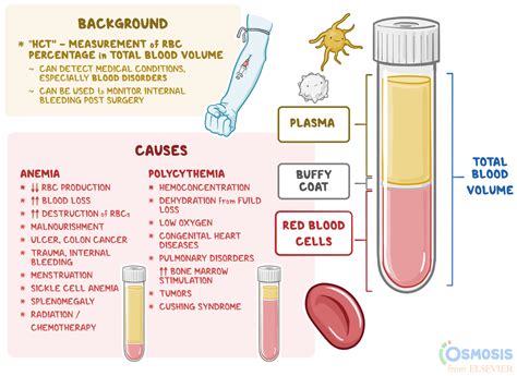 Hematocrit: What Is It, Importance, and More | Osmosis