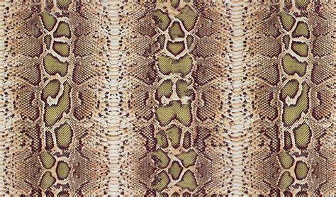 Snake Skin Wallpapers - Top Free Snake Skin Backgrounds - WallpaperAccess