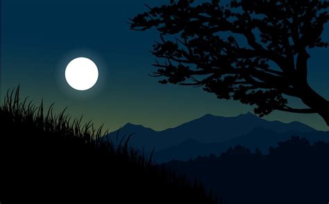 Premium Vector | Tree silhouette night