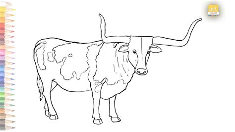 Longhorn Cow outline drawing 01 II How to draw A Longhorn Cow step by ...