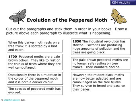 peppered-moth - Snapshot Science