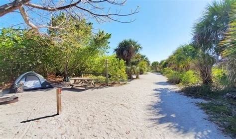 Cayo Costa State Park shelling beach where I saw so many shells along ...