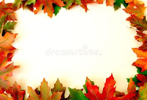 Fall Leaves Border On White Stock Image - Image: 1287781