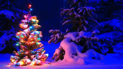 Christmas Tree Snow Wallpapers - Top Free Christmas Tree Snow ...