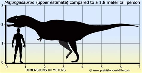 Majungasaurus | Prehistoric animals, Prehistoric art, Prehistoric wildlife