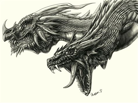 Two Headed Dragon Drawing at GetDrawings | Free download