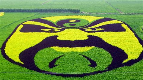 Simply Creative: China Rice Paddy Art