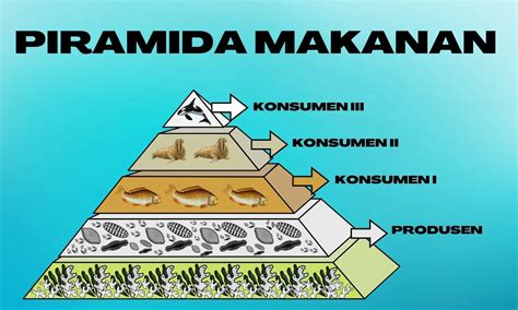 Pengertian Piramida Makanan dan Contohnya