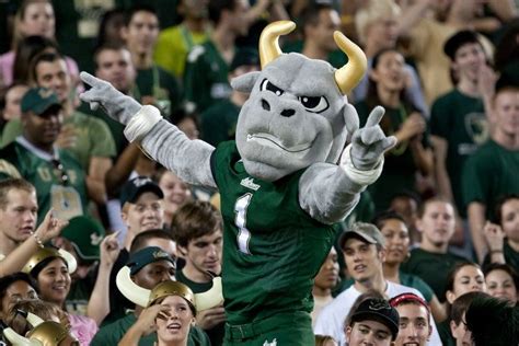 usf basketball mascot - Google Search | Bulls football, South florida ...