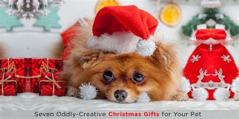 Seven Oddly-Creative Christmas Gifts for Your Pet | DiscountPetCare